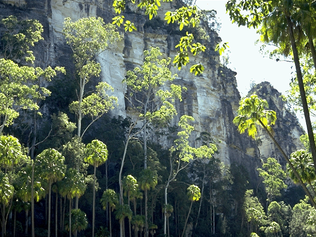 Carnarvon Gorge, Queensland