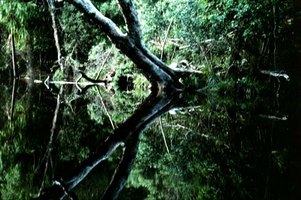 Byfield National Park